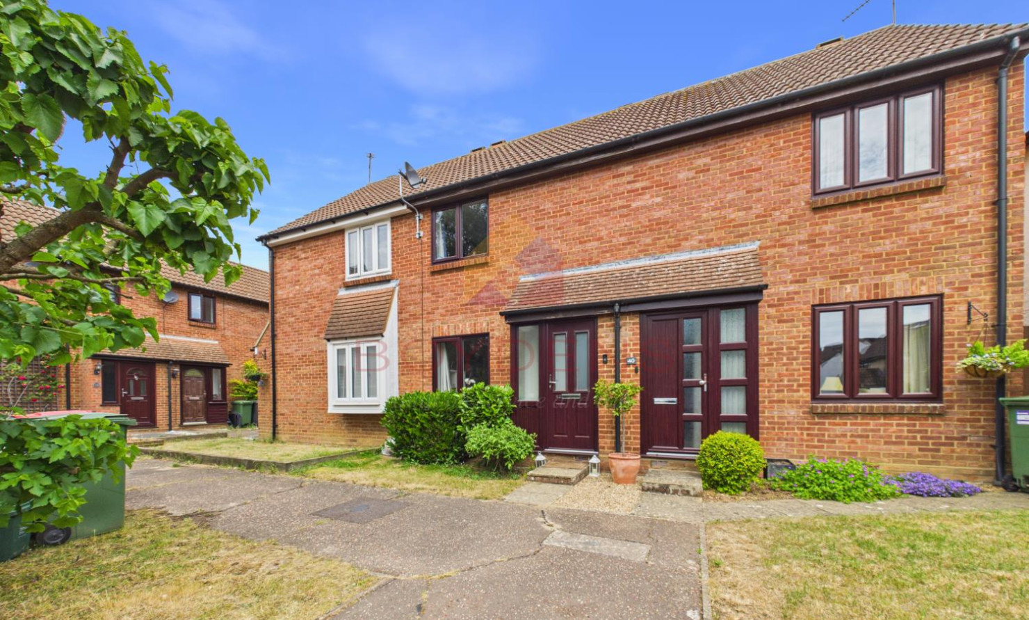 19