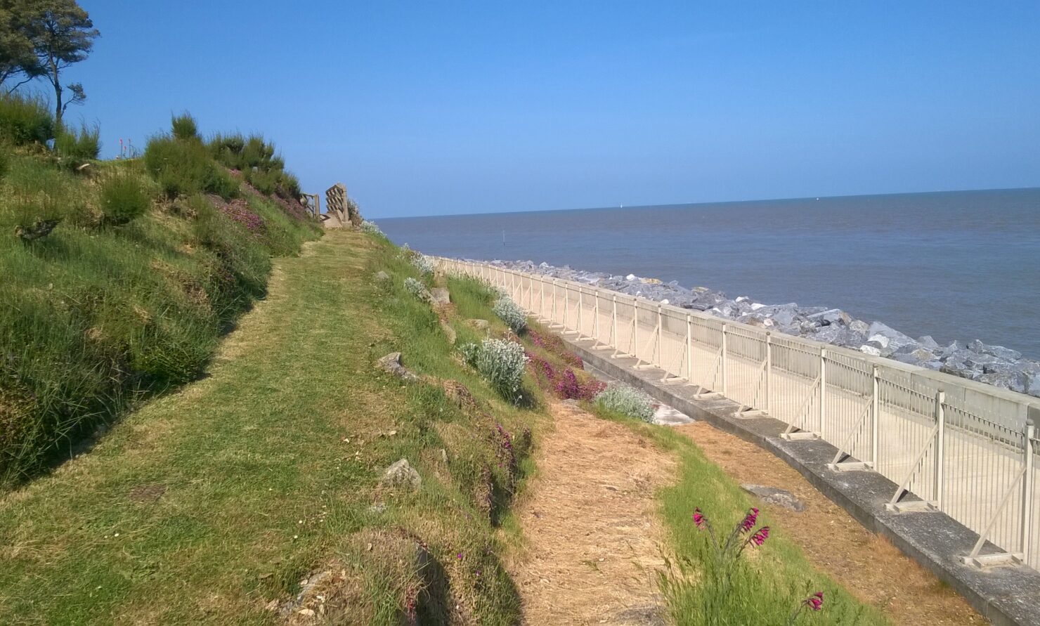 Case study cliff 06 picture