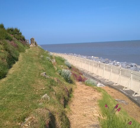 Case study cliff 08 image