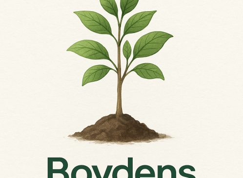BOYDENS PLANTS TREES FOR OUR FUTURE GENERATION image