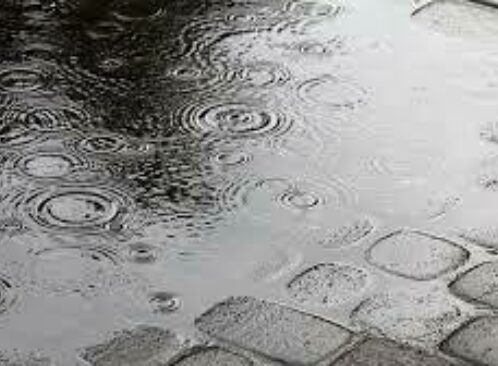 Damp and Mould in Rental Homes image