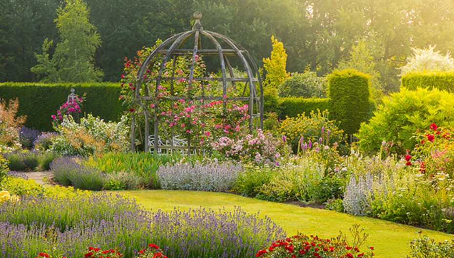Garden Space Becomes a Top Priority for UK Homebuyers News Post Image