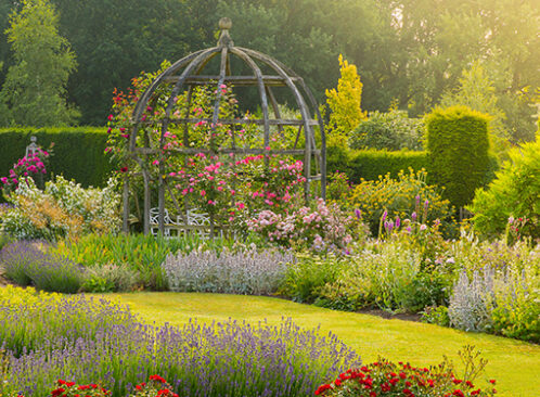 Garden Space Becomes a Top Priority for UK Homebuyers image