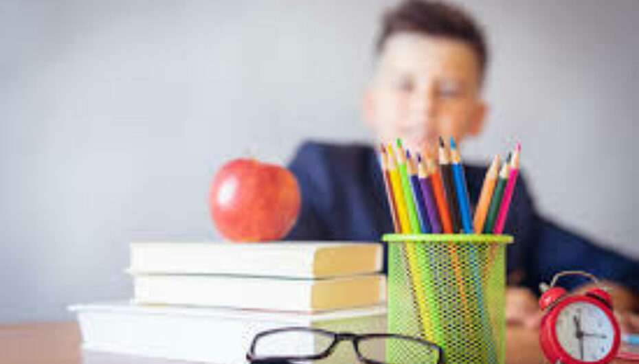 Top 5 Primary Schools That Drive House Prices in Colchester News Post Image