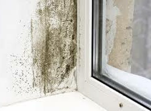 Awaab’s Law: What Private Landlords and Letting Agents Must Know image