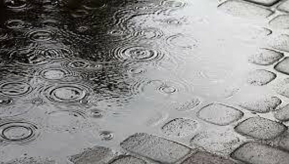 Damp and Mould in Rental Homes News Post Image