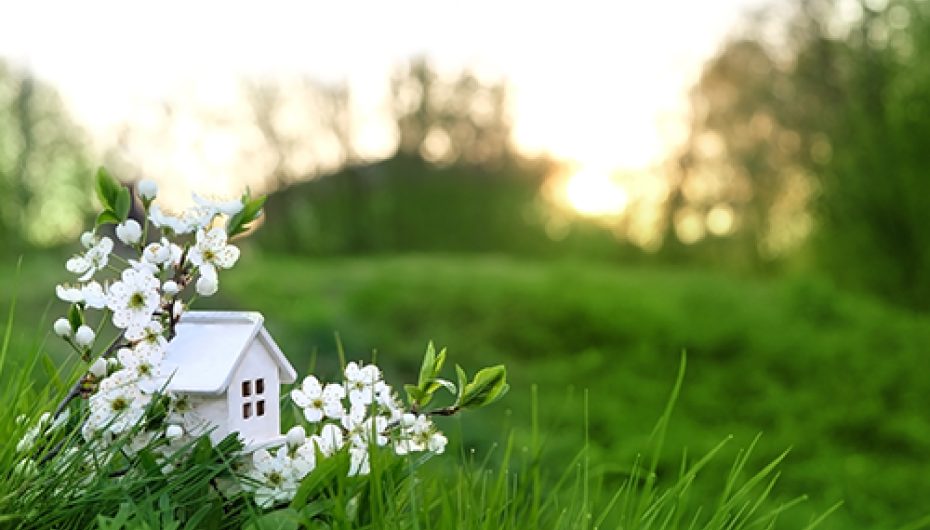 Is springtime a good time to sell your home? News Post Image