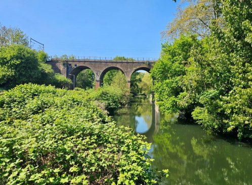 Local Knowledge: The Best Neighbourhoods for Families in Chelmsford image