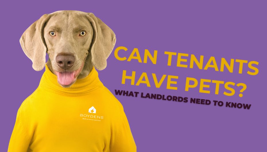 Pets in Rental Properties: What the Renters' Rights Act Means for Landlords News Post Image