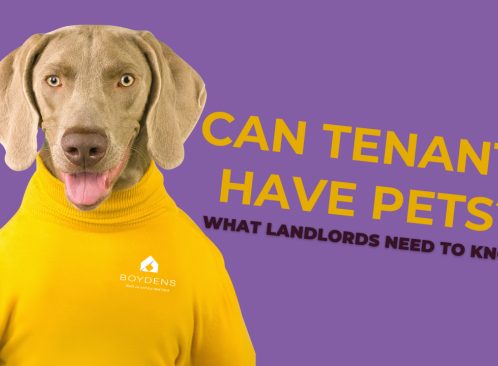 News Image for Pets in Rental Properties: What the Renters' Rights Act Means for Landlords
